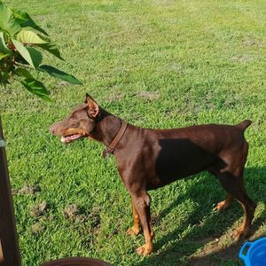 Meet your Posher, Sherrie